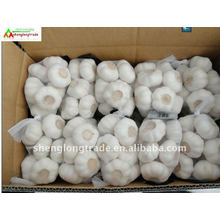 2011new crop china fresh white garlic